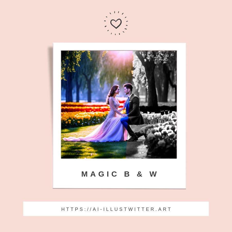 Magic B&W Photography